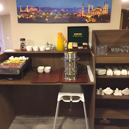 伊斯坦布尔中心大酒店 伊斯坦布尔
